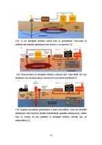 Referāts 'Augsnes bioremediācija', 10.