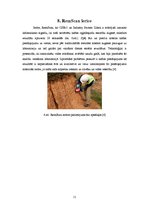 Referāts 'Augsnes bioremediācija', 11.