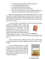 Referāts 'Videi draudzīga viesu māja', 3.