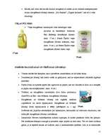 Referāts 'Videi draudzīga viesu māja', 15.