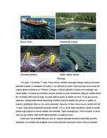 Referāts 'Tankkuģu avārijas', 7.