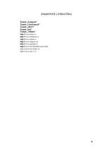 Referāts 'Datoru uzbūve un komplektācija', 27.