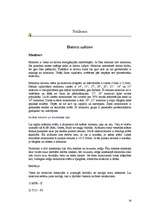 Referāts 'Datoru uzbūve un komplektācija', 28.