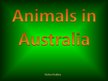 Prezentācija 'Animals in Australia', 1.