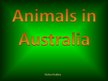 Prezentācija 'Animals in Australia', 1.