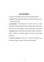 Referāts 'Nauda', 12.