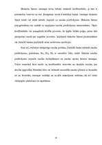 Referāts 'Nauda', 18.