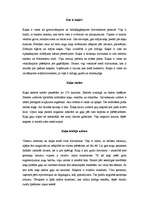 Referāts 'Kaķi', 2.