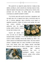 Konspekts 'Senās vides darbnīca', 15.