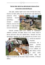 Konspekts 'Senās vides darbnīca', 17.