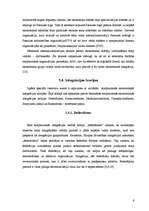 Referāts 'Starptautiskās ekonomiskās integrācijas teorētiskie aspekti', 6.