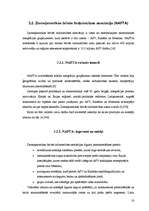 Referāts 'Starptautiskās ekonomiskās integrācijas teorētiskie aspekti', 18.