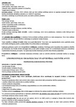 Konspekts 'Ievads jurista ētikā', 3.