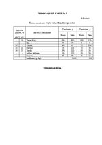 Biznesa plāns 'Ēdināšanas uzņēmuma tehnoloģiskā procesa norises dokumentu izstrāde', 36.