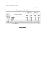 Biznesa plāns 'Ēdināšanas uzņēmuma tehnoloģiskā procesa norises dokumentu izstrāde', 38.