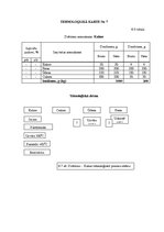 Biznesa plāns 'Ēdināšanas uzņēmuma tehnoloģiskā procesa norises dokumentu izstrāde', 42.