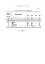 Biznesa plāns 'Ēdināšanas uzņēmuma tehnoloģiskā procesa norises dokumentu izstrāde', 43.