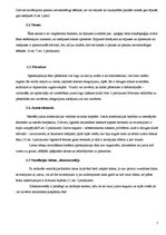 Paraugs 'Ēkas tehniskā stāvokļa novērtēšana', 7.