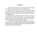 Referāts 'Mediju ietekme uz sabiedrību', 8.