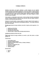 Referāts 'Darba higiēna', 2.