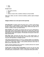 Referāts 'Darba higiēna', 3.