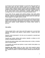 Referāts 'Darba higiēna', 6.