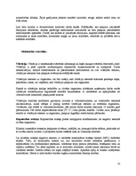 Referāts 'Darba higiēna', 10.