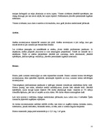 Referāts 'Darba higiēna', 15.