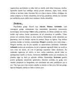 Referāts 'Seno laiku kultūra', 3.