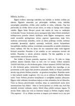 Referāts 'Seno laiku kultūra', 7.