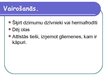 Prezentācija 'Gliemji', 6.