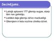 Prezentācija 'Gliemji', 14.
