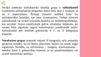 Prezentācija 'Grūtnieces, jaunās māmiņas un medikamenti', 20.