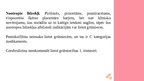 Prezentācija 'Grūtnieces, jaunās māmiņas un medikamenti', 35.