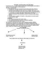 Konspekts 'Valsts un tiesību teorija', 7.