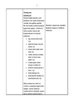 Konspekts 'Stundas konspekts mājturībā 3.klasei', 5.