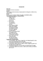 Konspekts 'Gadskārtu svētki', 9.