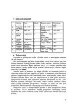 Referāts 'Flīžu ražošanas tehnoloģijas', 5.