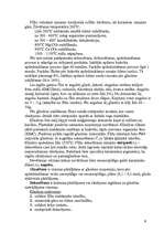 Referāts 'Flīžu ražošanas tehnoloģijas', 6.