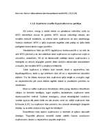 Diplomdarbs 'Mazo un vidējo uzņēmumu finansēšana Latvijā', 20.