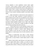 Diplomdarbs 'Mazo un vidējo uzņēmumu finansēšana Latvijā', 47.