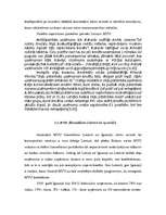 Diplomdarbs 'Mazo un vidējo uzņēmumu finansēšana Latvijā', 59.