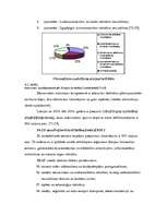 Diplomdarbs 'Mazo un vidējo uzņēmumu finansēšana Latvijā', 70.