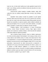 Diplomdarbs 'Mazo un vidējo uzņēmumu finansēšana Latvijā', 78.