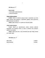 Paraugs 'Dokumentu paraugi', 7.