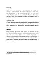 Konspekts 'Makkinsija matrica', 3.