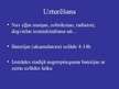 Prezentācija 'Alternatīvā degviela transportā', 21.