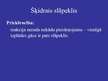 Prezentācija 'Alternatīvā degviela transportā', 27.