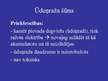 Prezentācija 'Alternatīvā degviela transportā', 37.