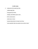 Referāts 'Narkomānija', 6.